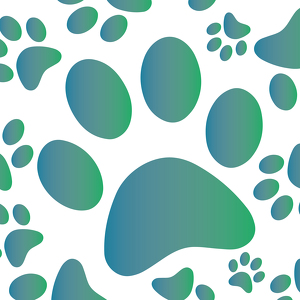 Fundraising Page: Jaime Krisko